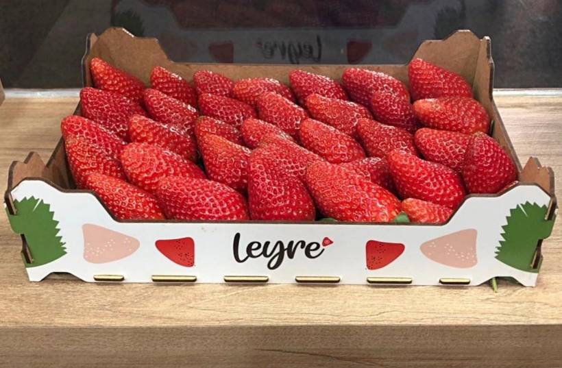 Свит Сенсейшн (Sweet Sensation)